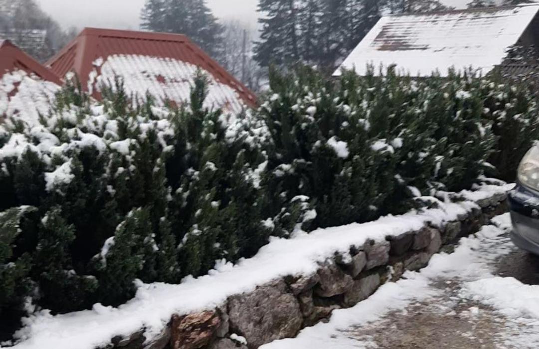 Apartman Bella Vita Kolasin Exterior photo